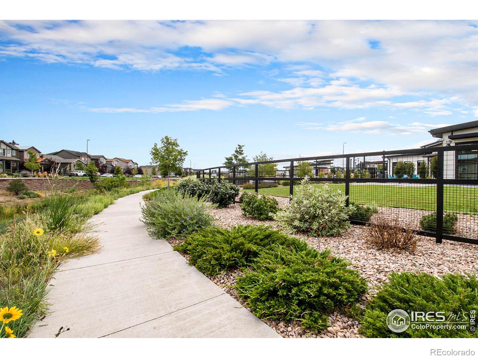 MLS Image #38 for 4742  jasper street,denver, Colorado