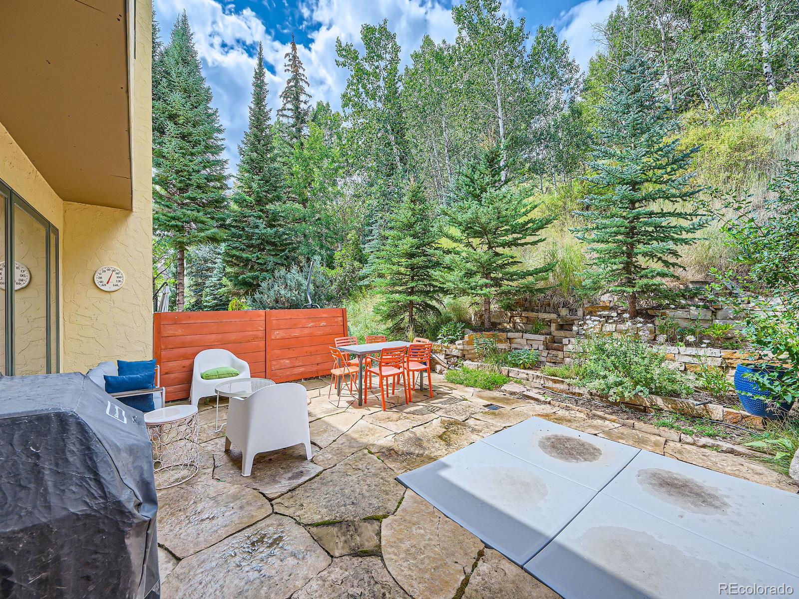 MLS Image #13 for 1370  sandstone drive,vail, Colorado