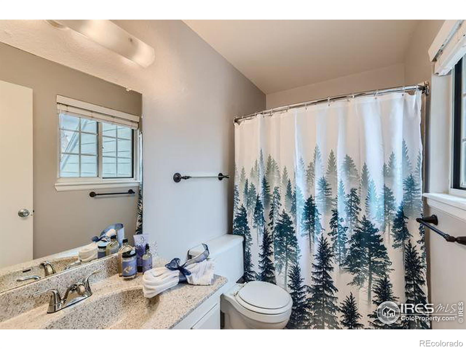 MLS Image #21 for 10407  red mountain ,littleton, Colorado