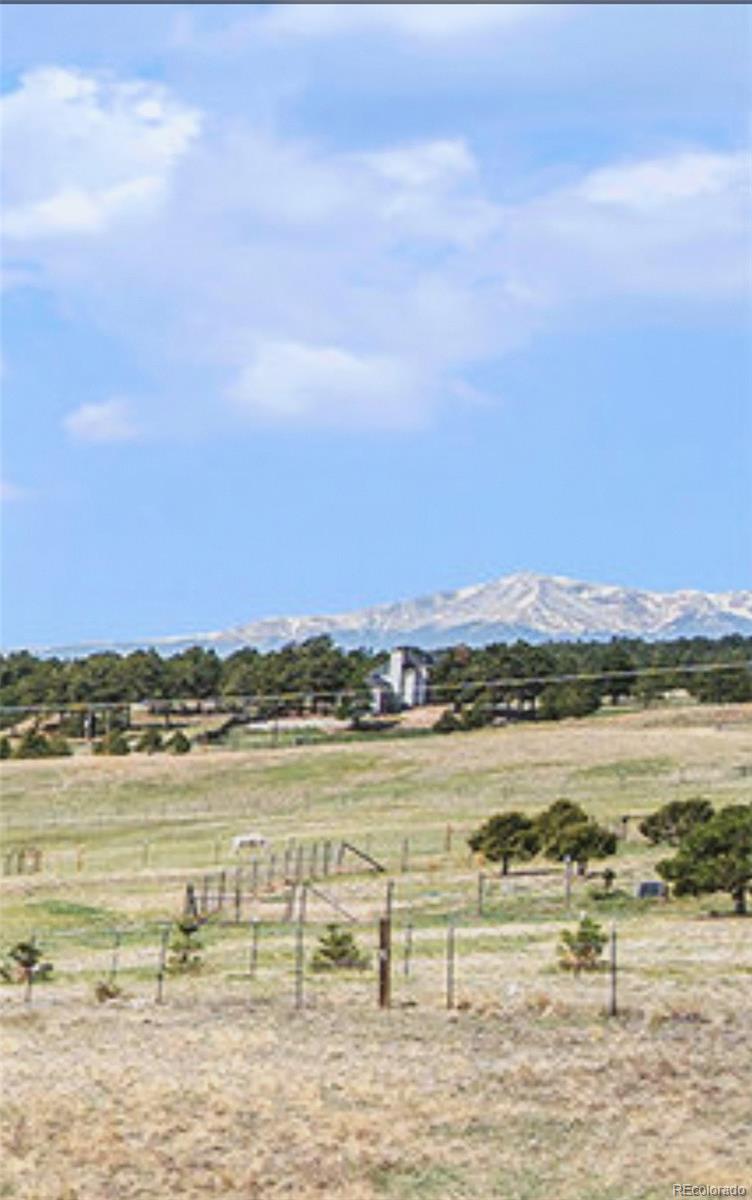 MLS Image #17 for 13485  woodlake road,elbert, Colorado