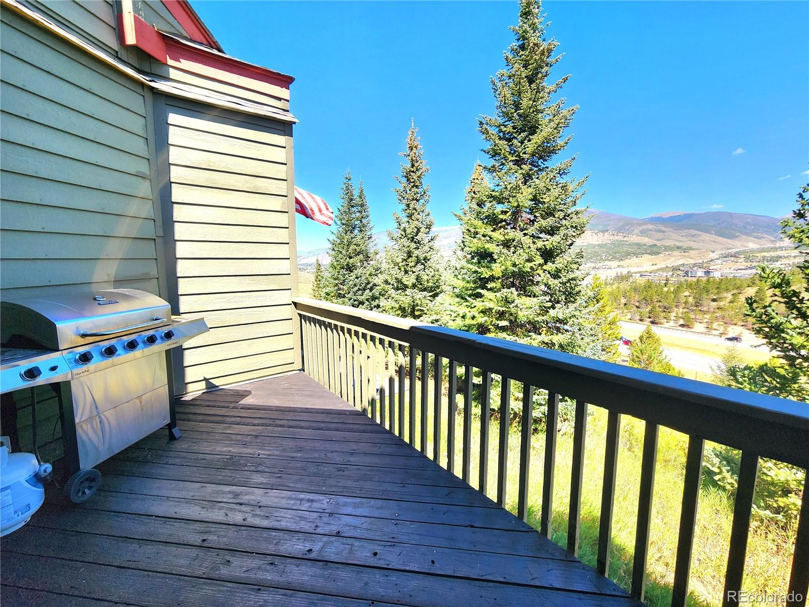 MLS Image #29 for 154  fawn court,frisco, Colorado