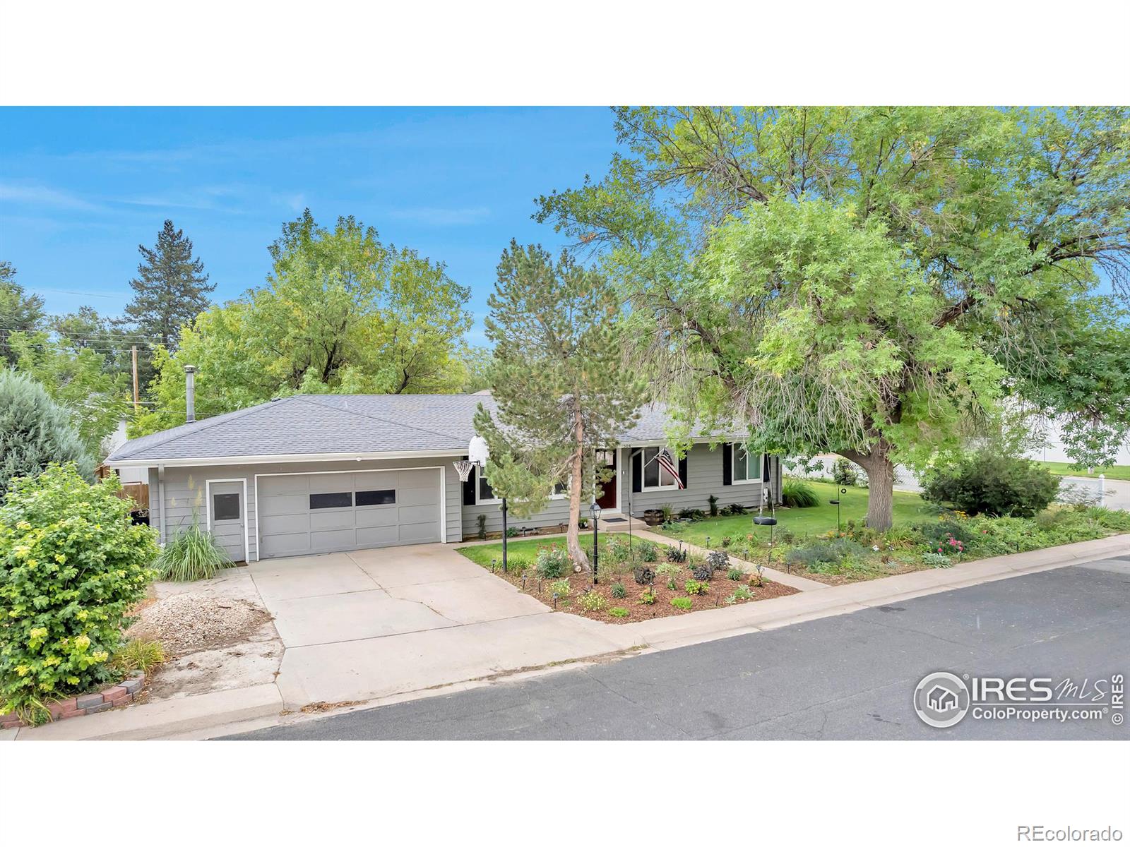 MLS Image #4 for 504  graefe avenue,ault, Colorado