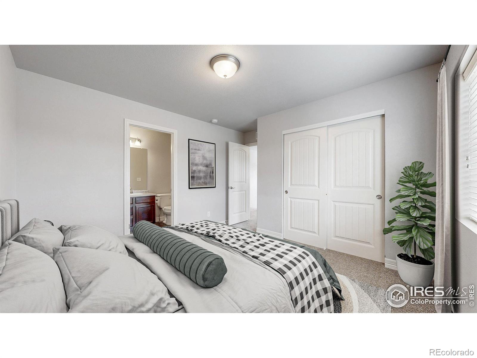 MLS Image #25 for 3449  oberon drive,loveland, Colorado