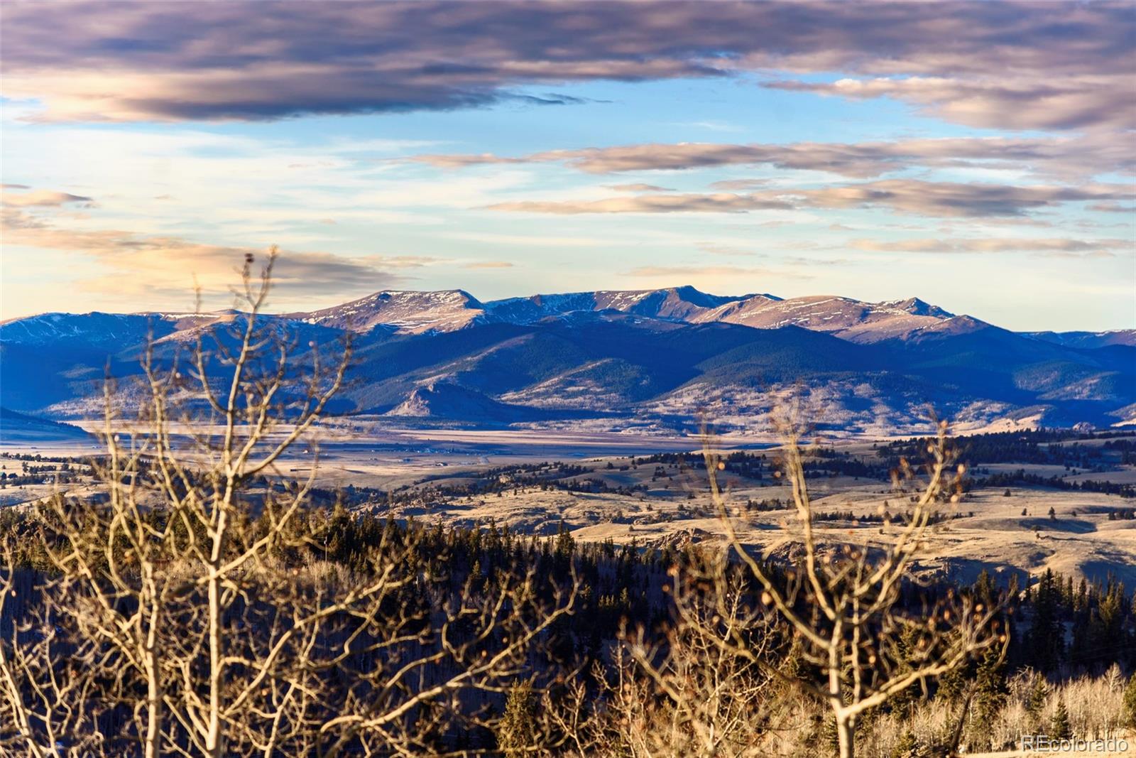 MLS Image #41 for 2628  wells fargo circle,jefferson, Colorado