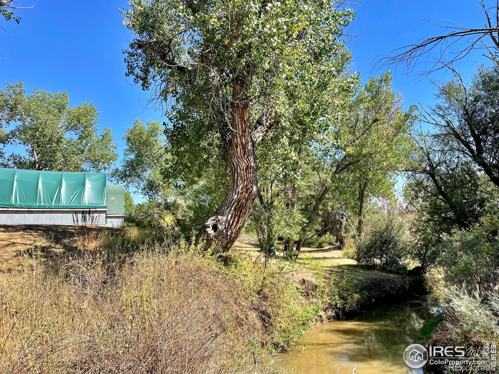 MLS Image #19 for 12636  flagg drive,lafayette, Colorado