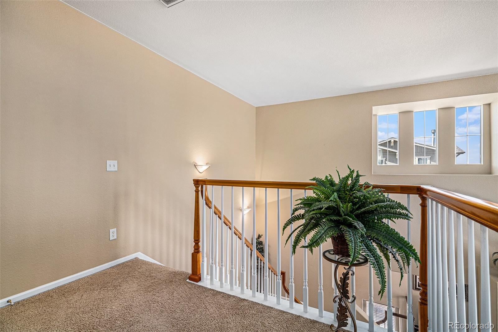 MLS Image #29 for 10515  ashfield street,littleton, Colorado