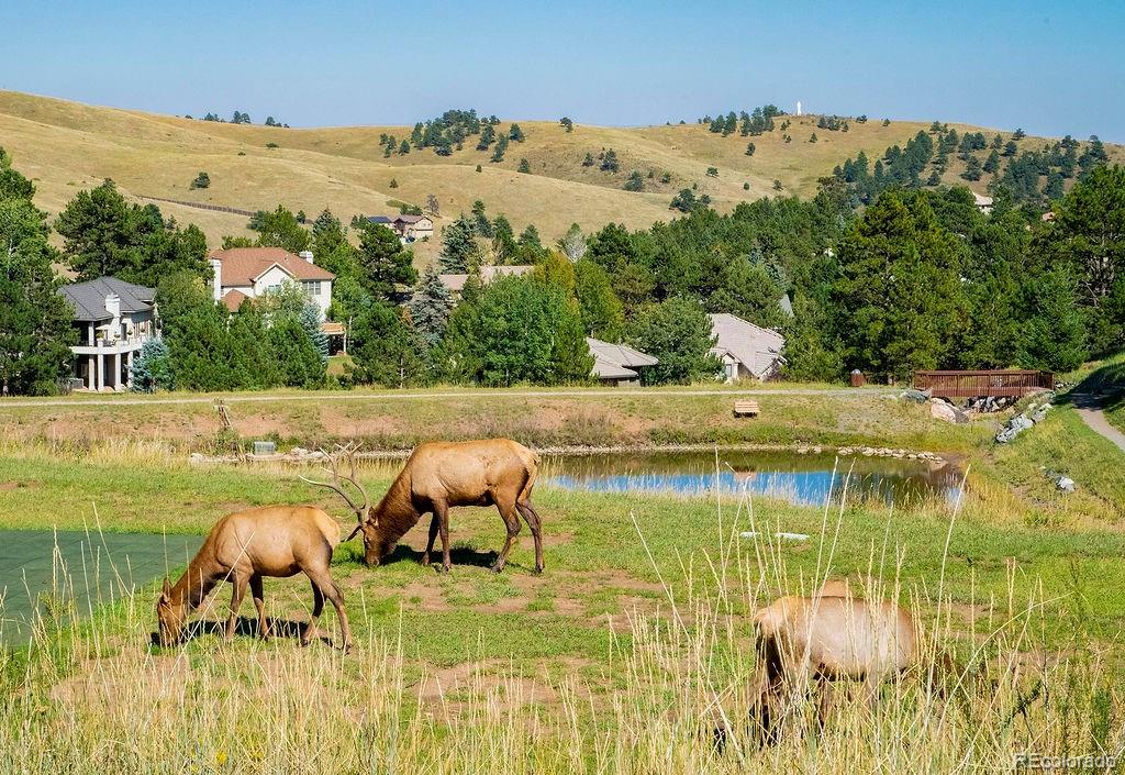 MLS Image #48 for 867  hill and dale road,golden, Colorado