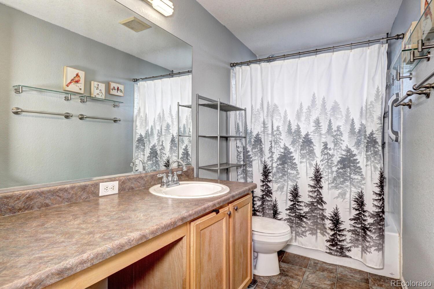 MLS Image #19 for 6055  teaberry avenue,castle rock, Colorado