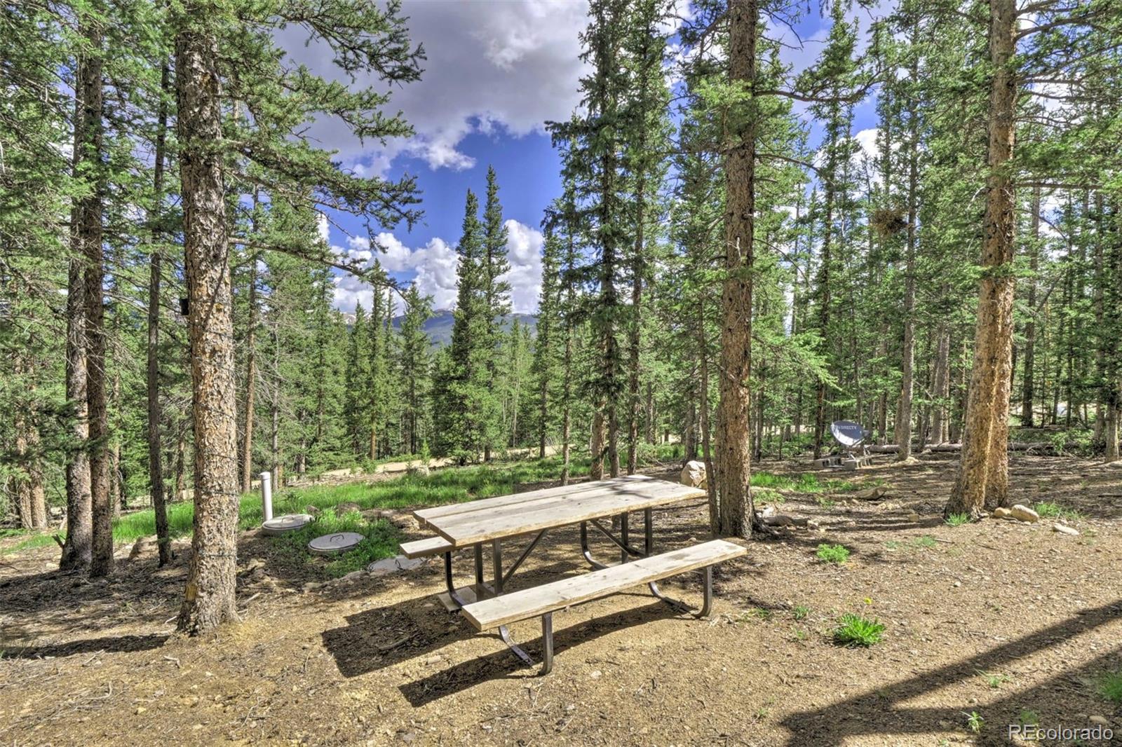 MLS Image #29 for 336  georgia pass lookout ,jefferson, Colorado