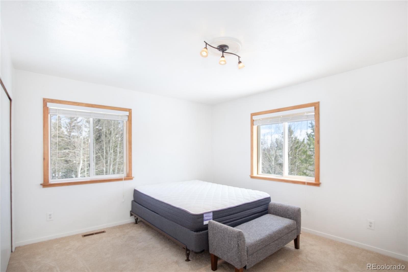 MLS Image #10 for 2244  high creek road,fairplay, Colorado