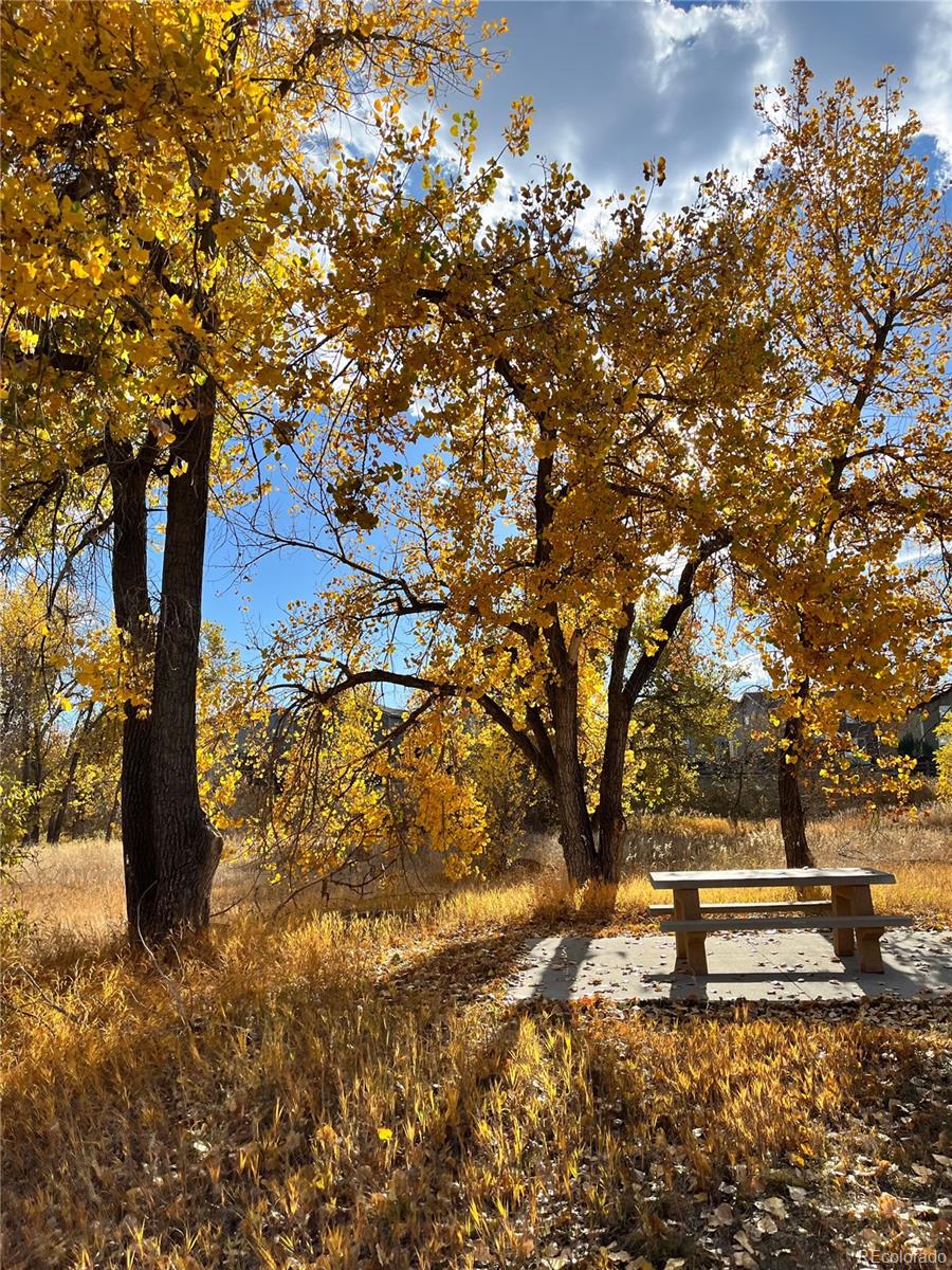 MLS Image #30 for 21902  saddlebrook court,parker, Colorado