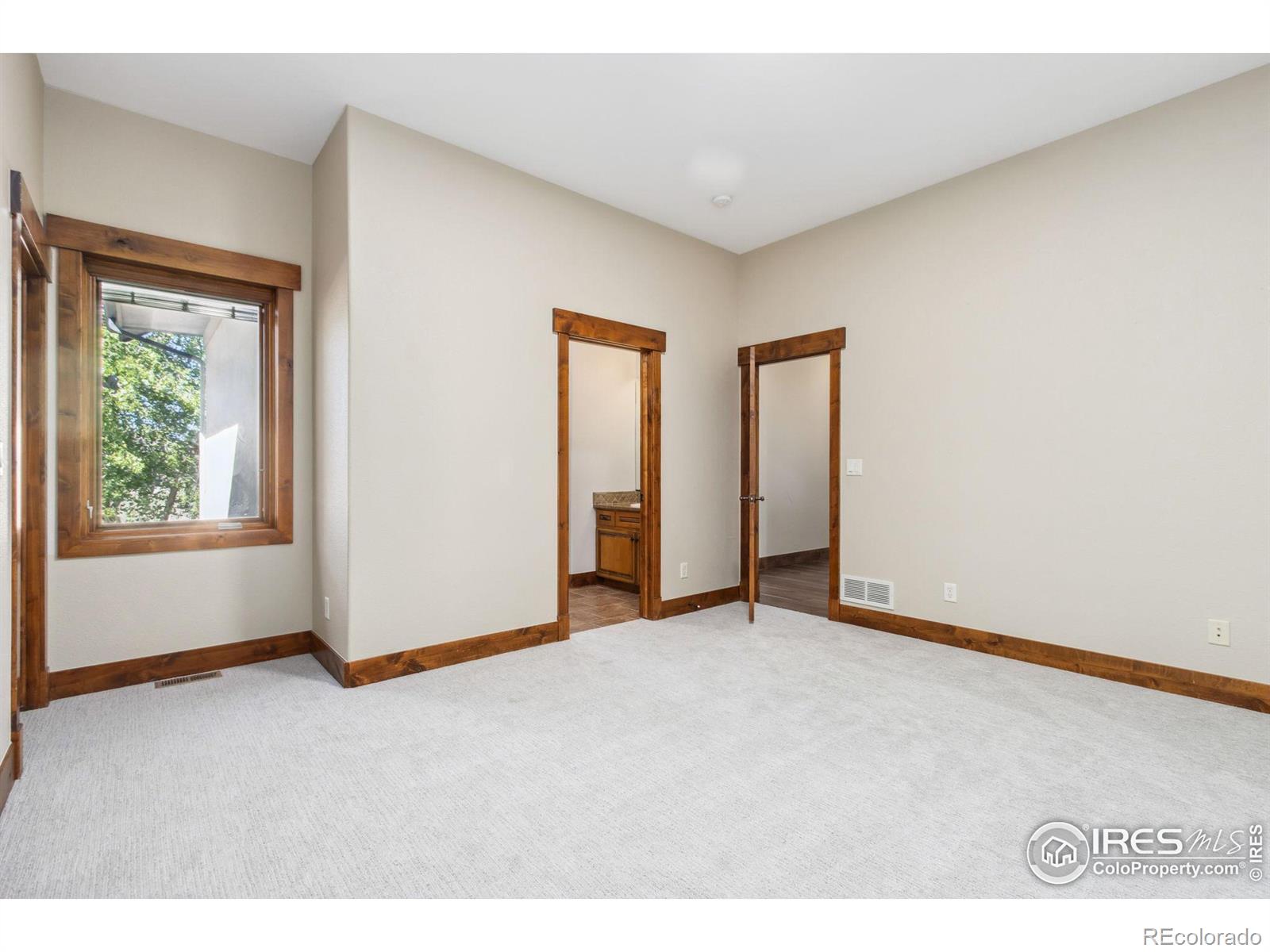 MLS Image #15 for 1263  horned owl court,windsor, Colorado