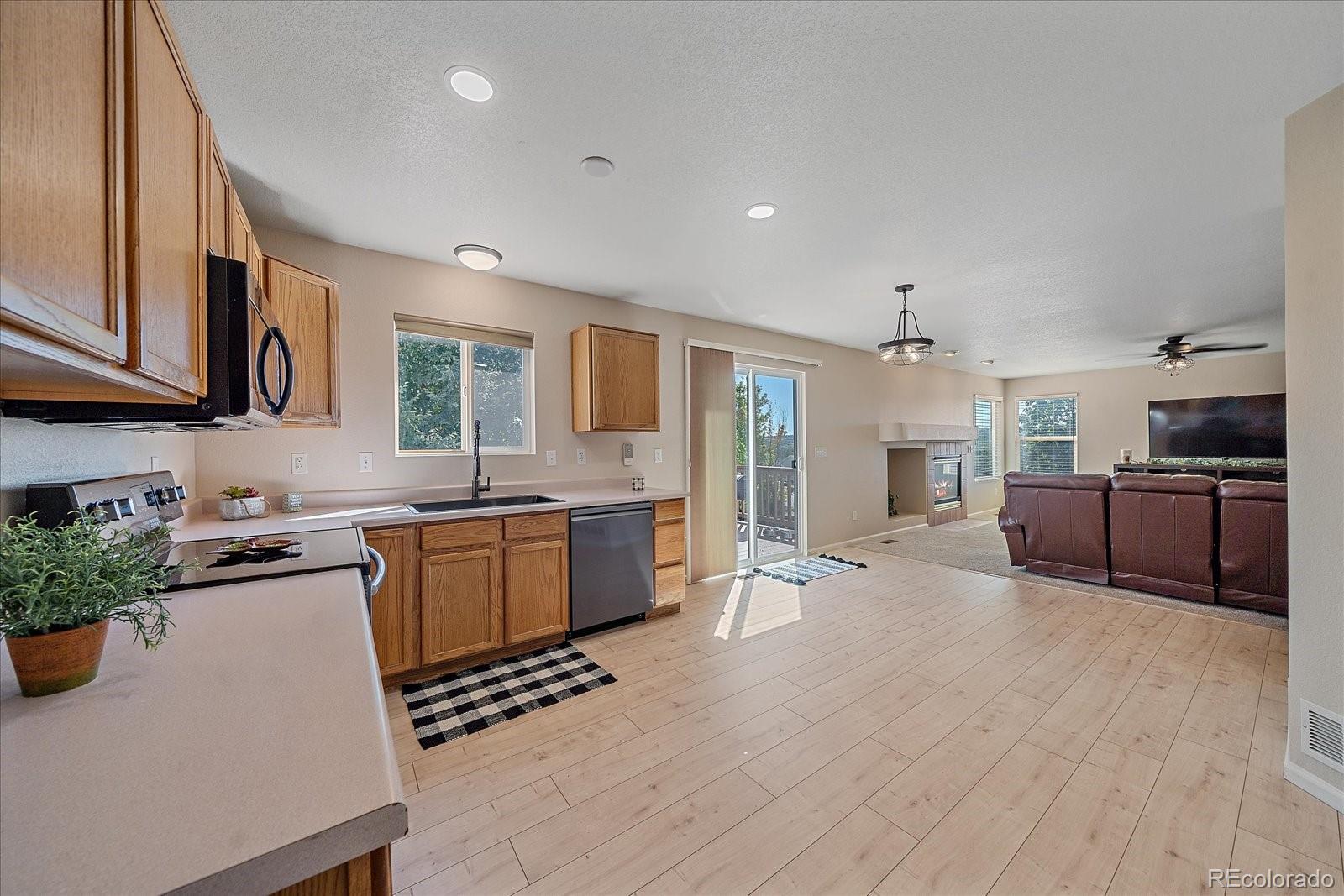 MLS Image #10 for 10800  crestone needles drive,parker, Colorado