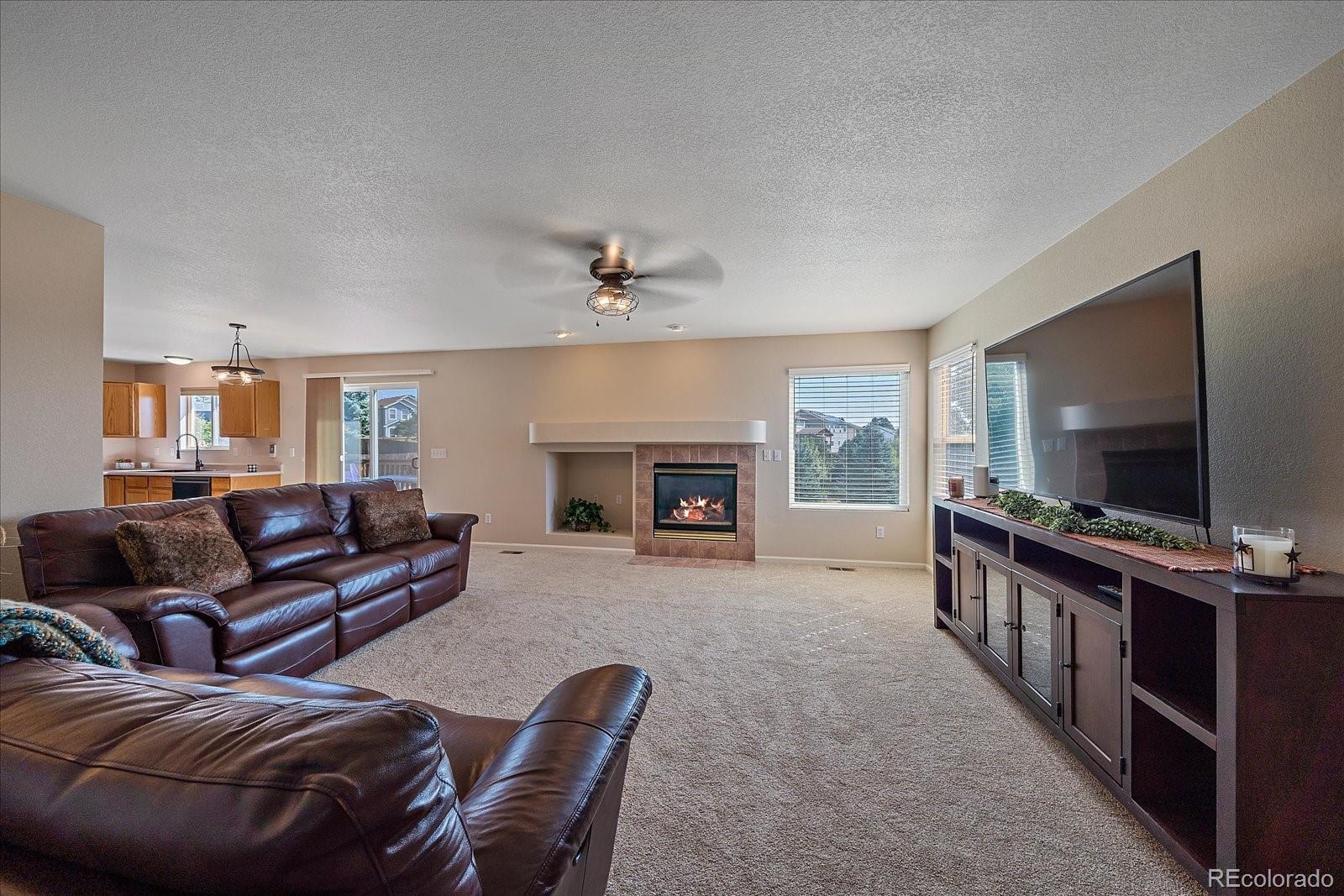 MLS Image #5 for 10800  crestone needles drive,parker, Colorado