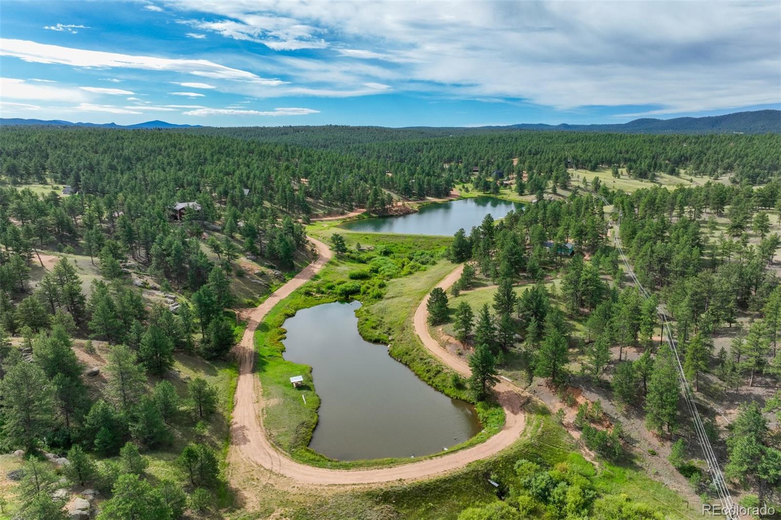 MLS Image #19 for 288  forest glen trail,florissant, Colorado