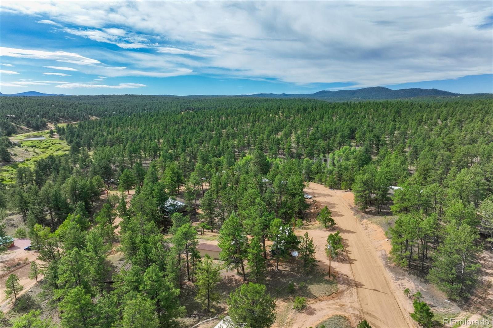 MLS Image #21 for 288  forest glen trail,florissant, Colorado