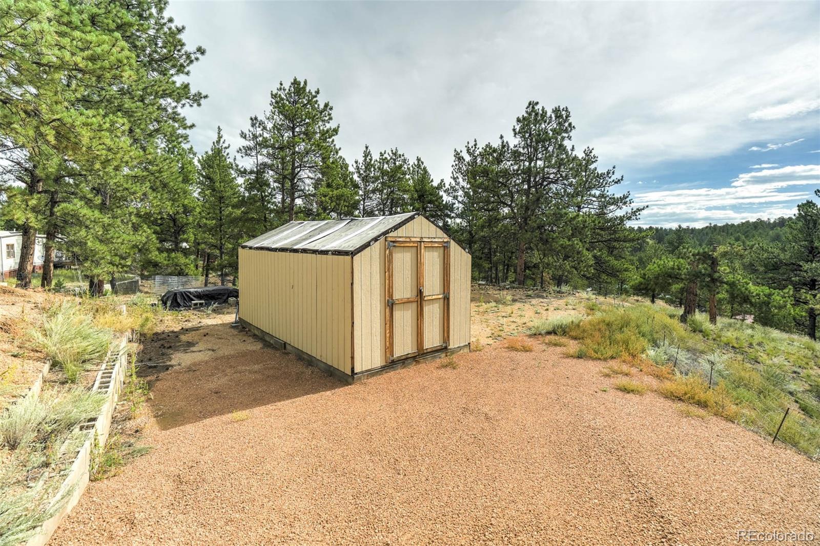 MLS Image #9 for 288  forest glen trail,florissant, Colorado