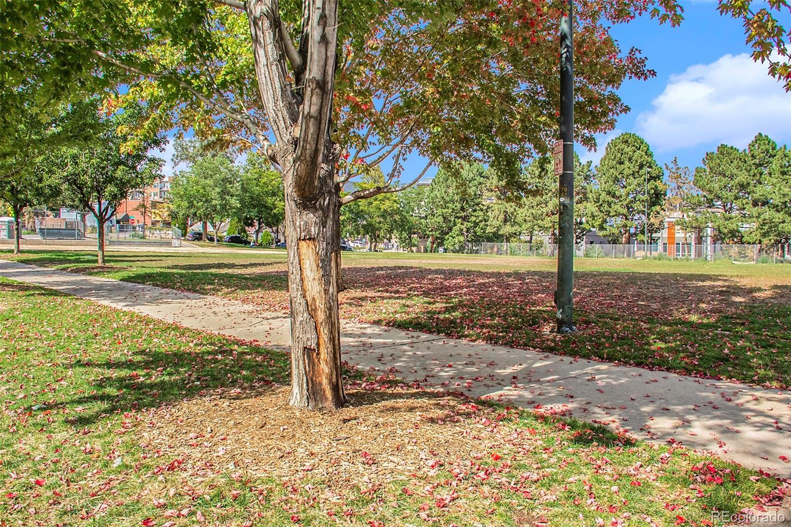 MLS Image #24 for 2530  kensing court,denver, Colorado