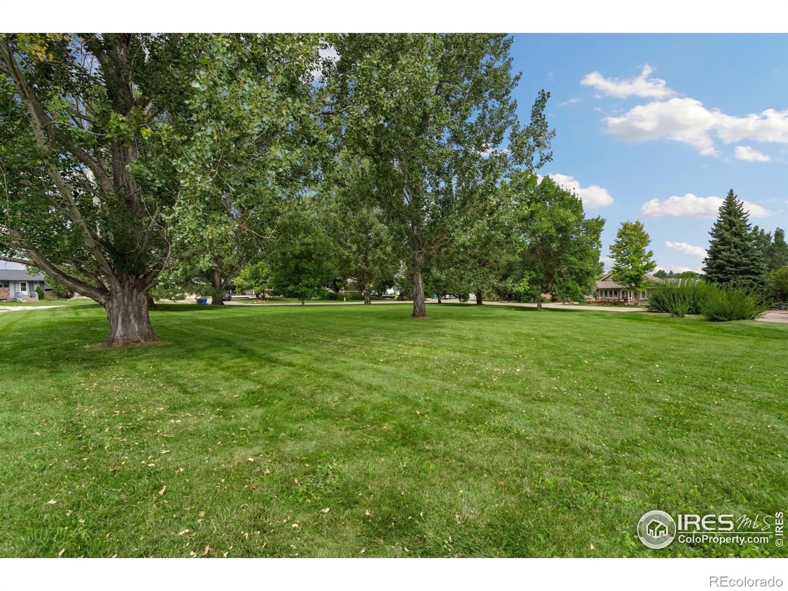 MLS Image #6 for 2009  harmony drive,fort collins, Colorado