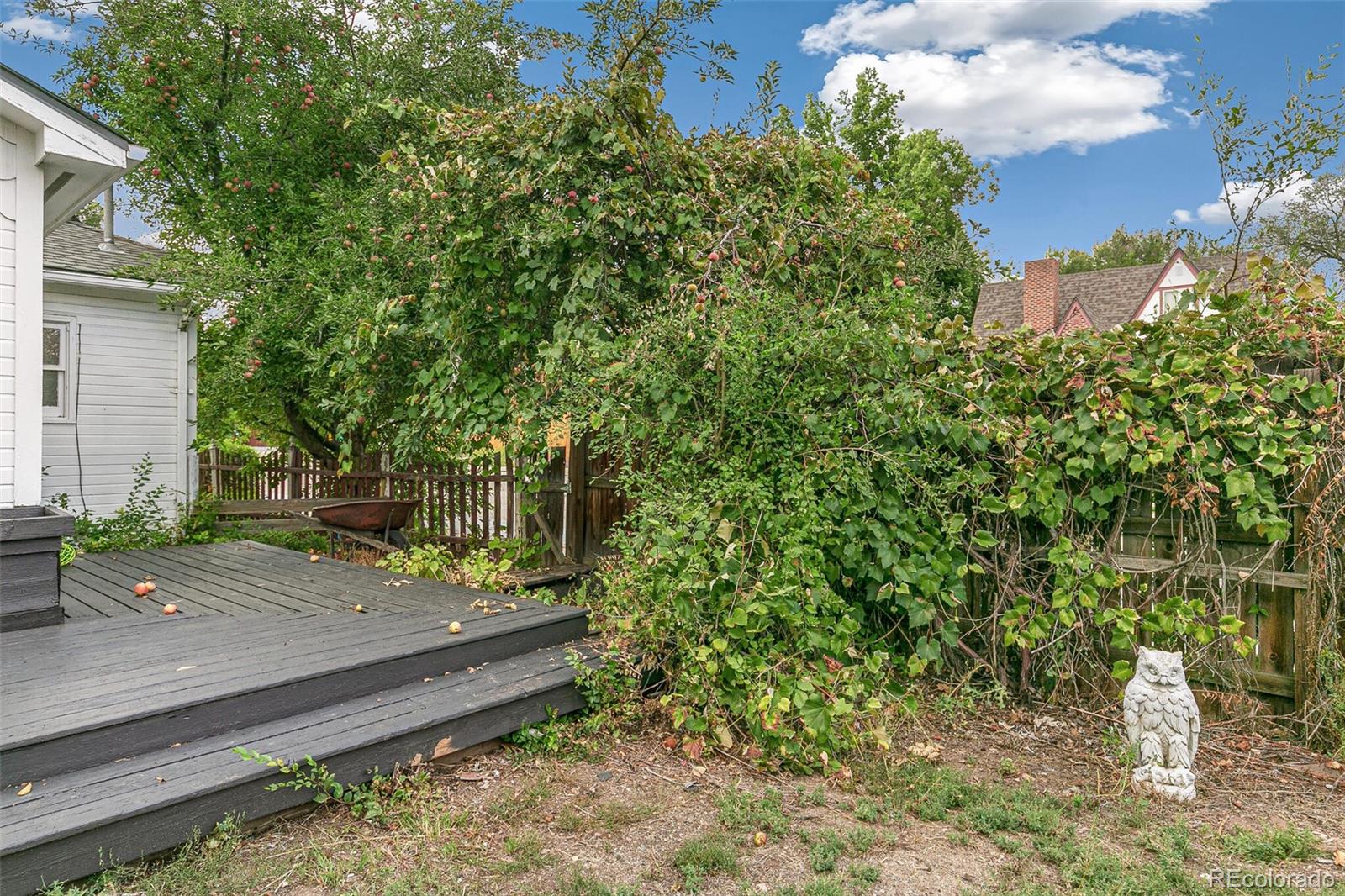 MLS Image #29 for 190  newland street,lakewood, Colorado