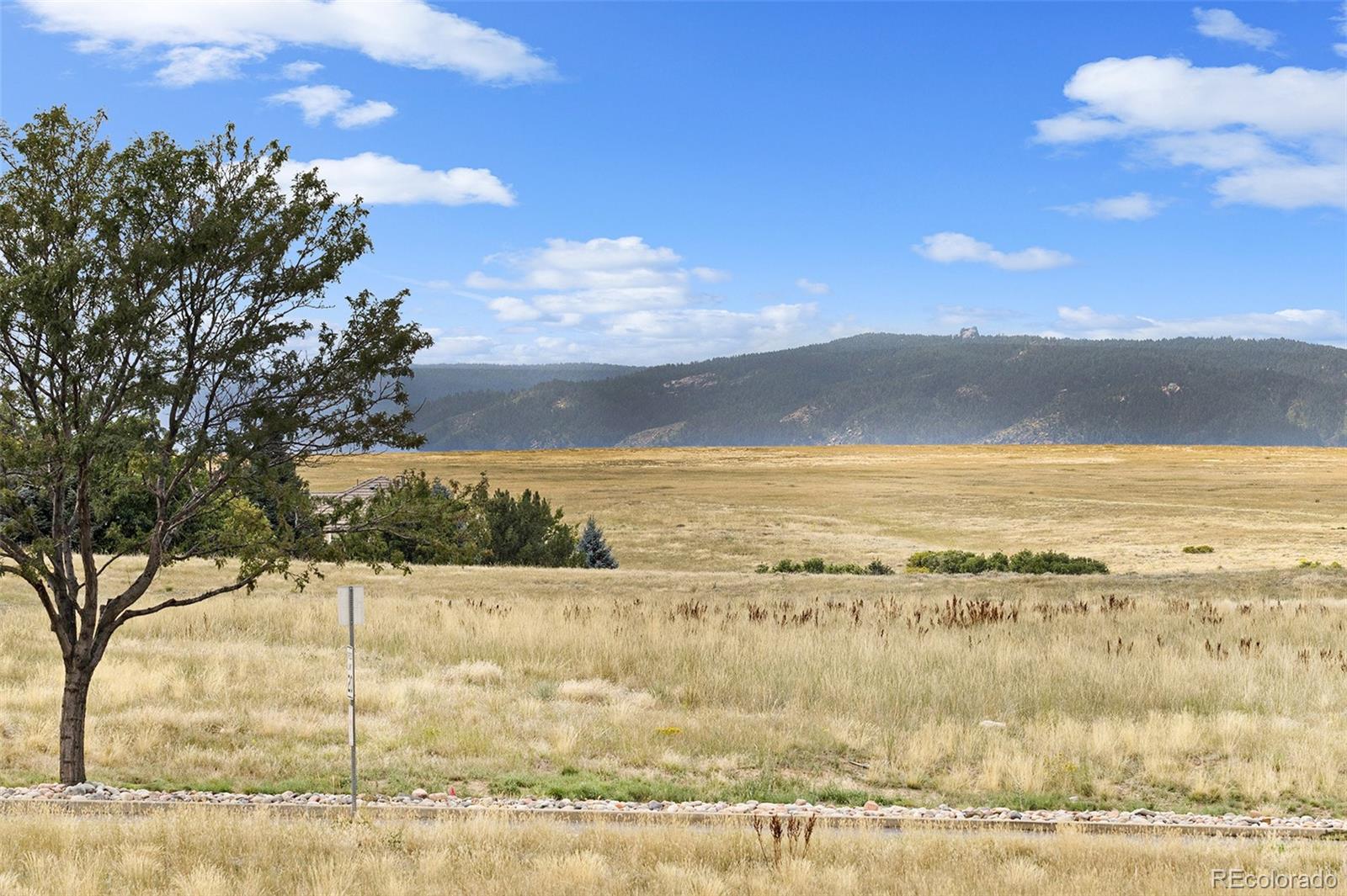 MLS Image #28 for 4078  foothills drive,castle rock, Colorado