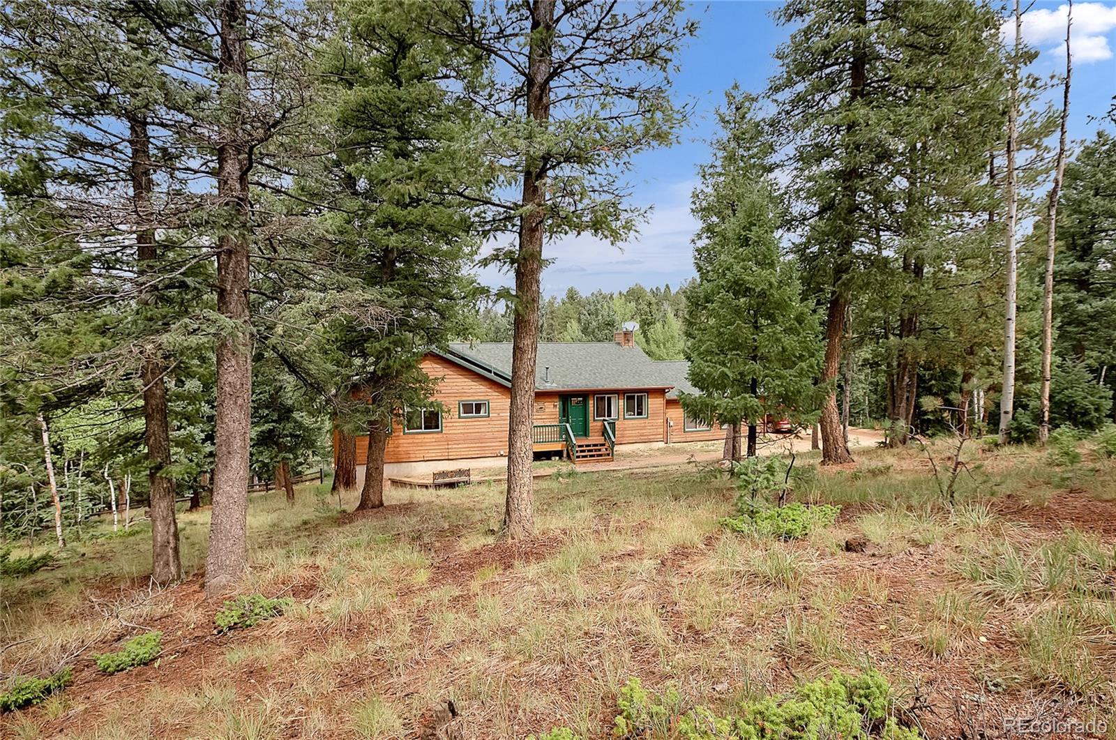 MLS Image #2 for 958  cottonwood lake drive,divide, Colorado