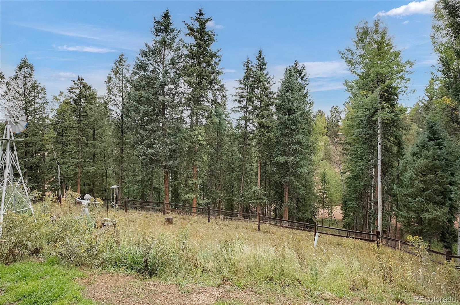 MLS Image #3 for 958  cottonwood lake drive,divide, Colorado