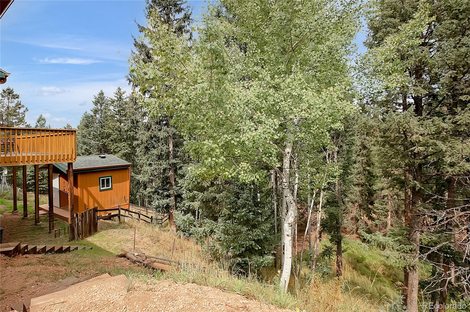 MLS Image #35 for 958  cottonwood lake drive,divide, Colorado