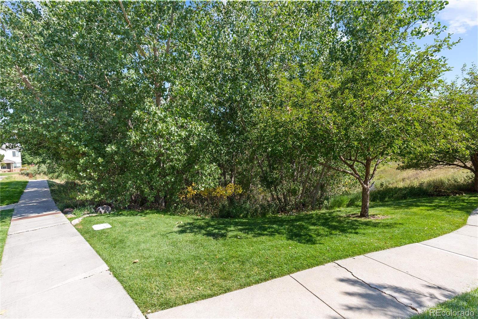 MLS Image #25 for 22580 e ontario drive,aurora, Colorado