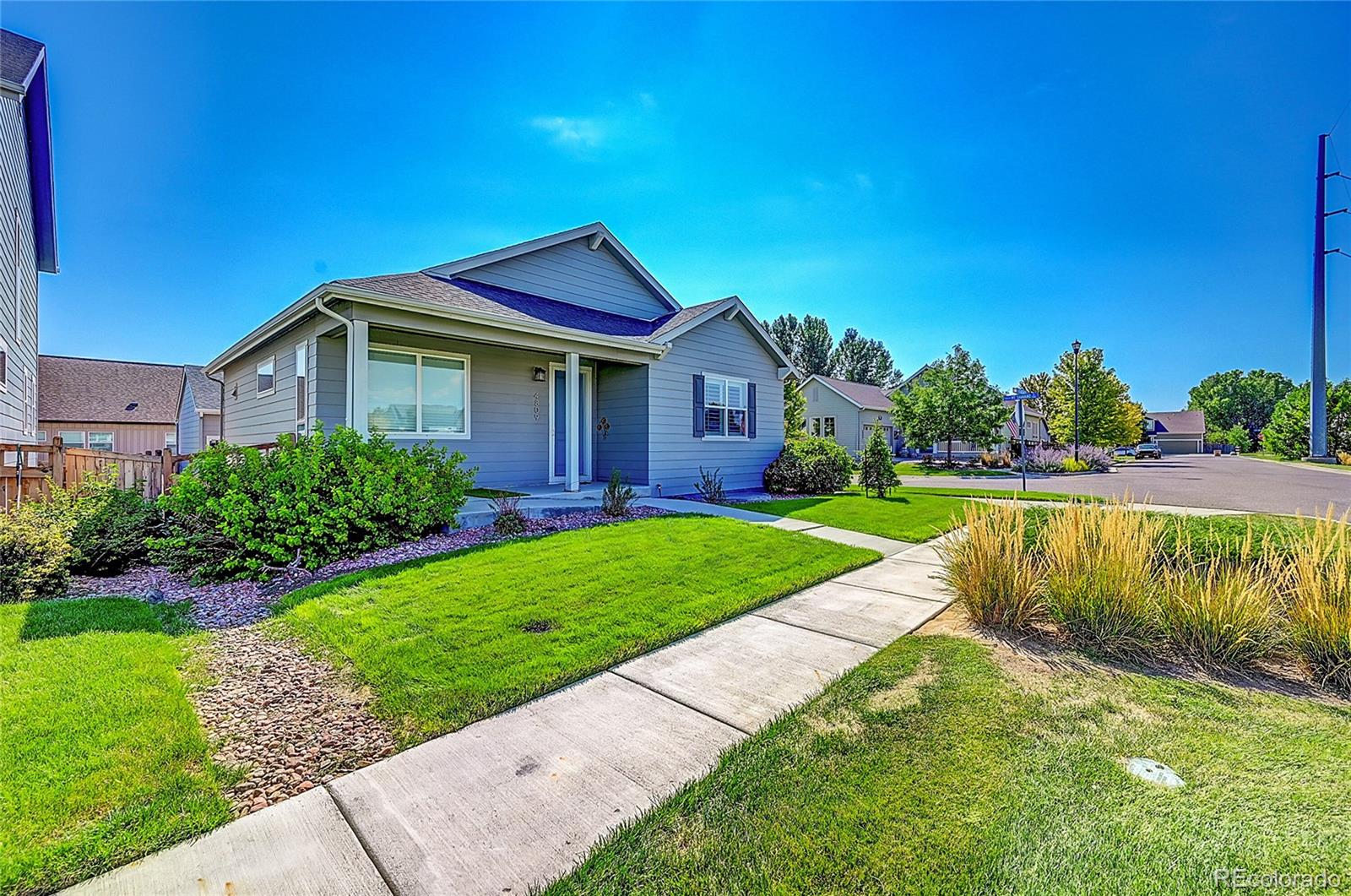 MLS Image #2 for 4809  mt shavano street,brighton, Colorado