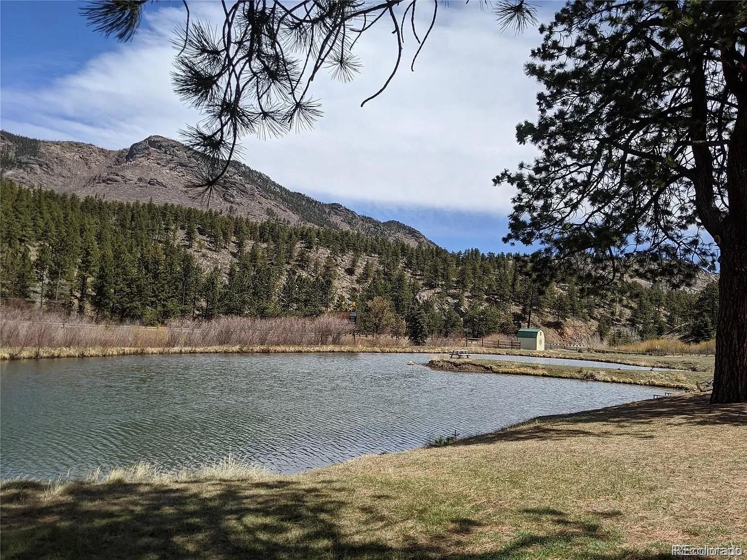 MLS Image #19 for 57920  us highway 285 ,bailey, Colorado