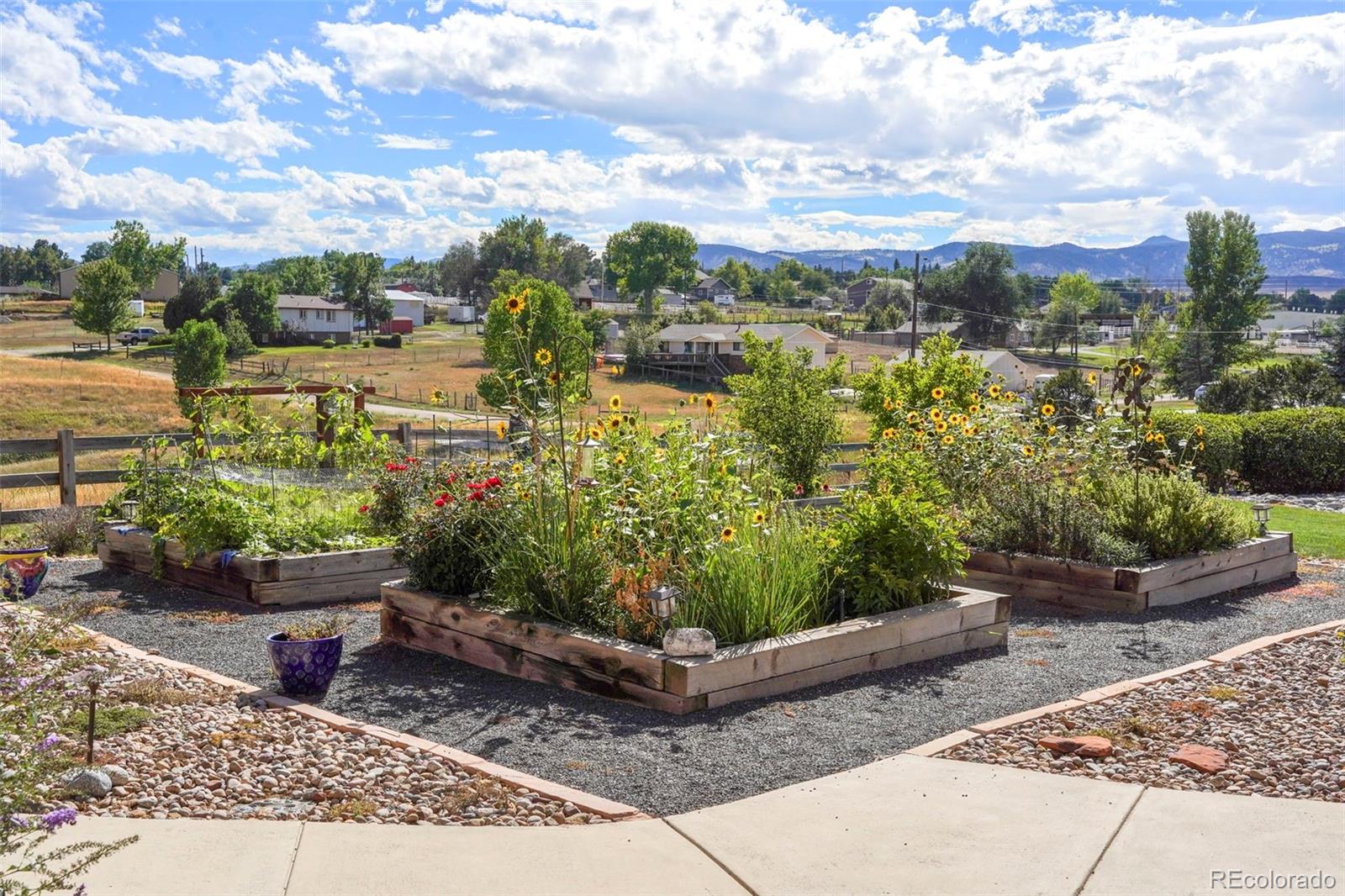 MLS Image #5 for 7592  lupine court,arvada, Colorado