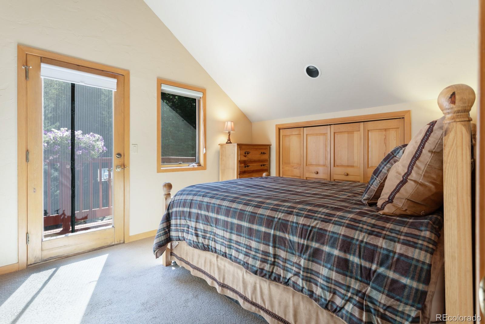 MLS Image #29 for 189  ginger quill lane,breckenridge, Colorado