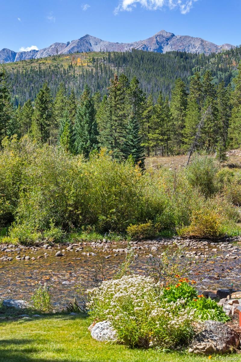 MLS Image #40 for 189  ginger quill lane,breckenridge, Colorado