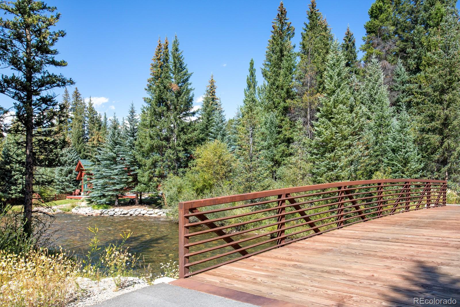 MLS Image #41 for 189  ginger quill lane,breckenridge, Colorado