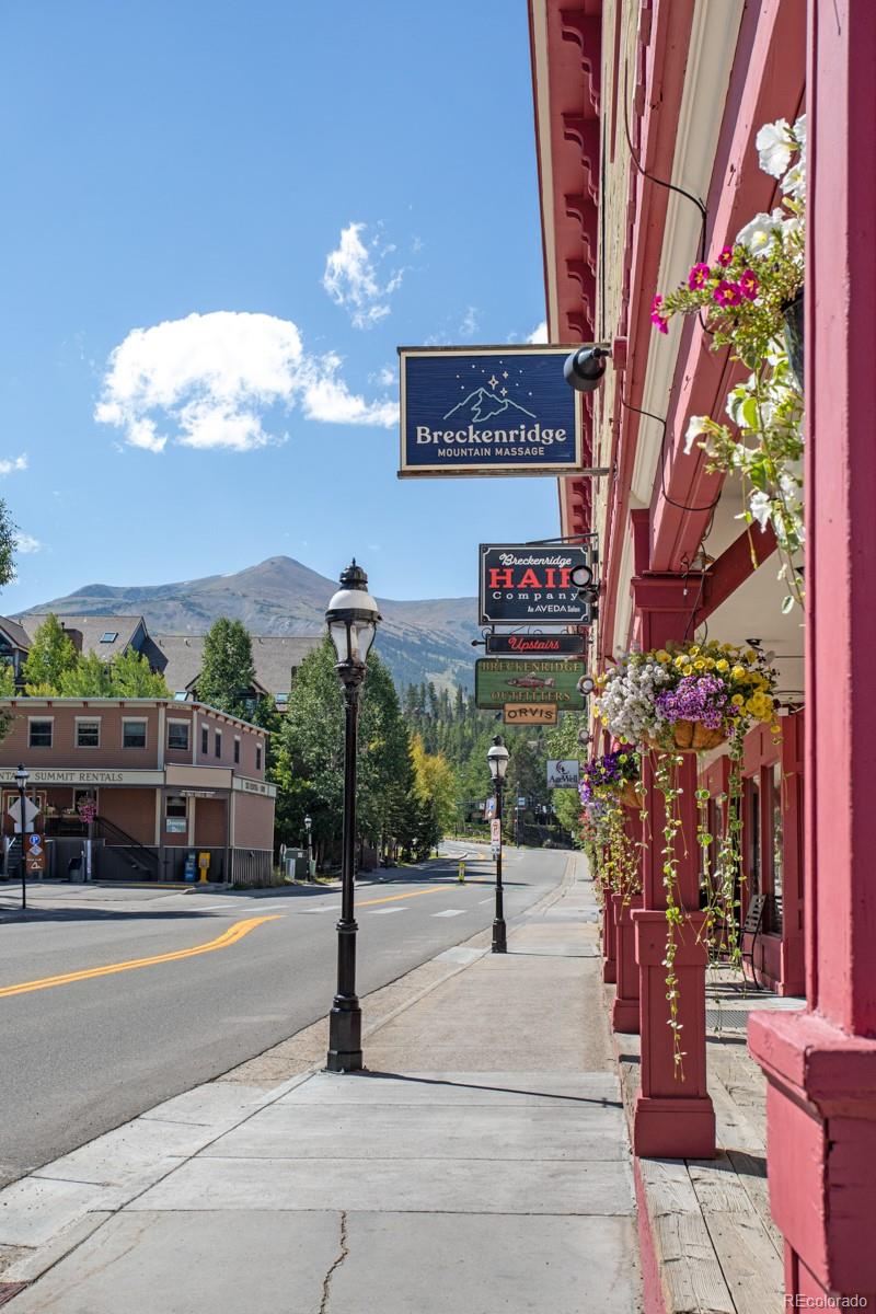 MLS Image #44 for 189  ginger quill lane,breckenridge, Colorado