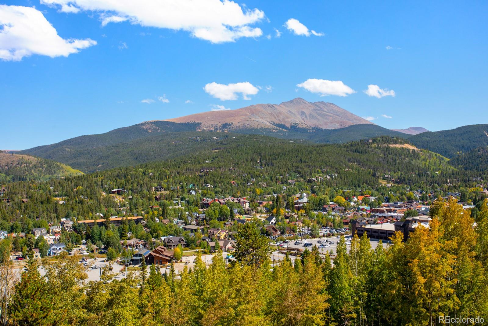 MLS Image #45 for 189  ginger quill lane,breckenridge, Colorado