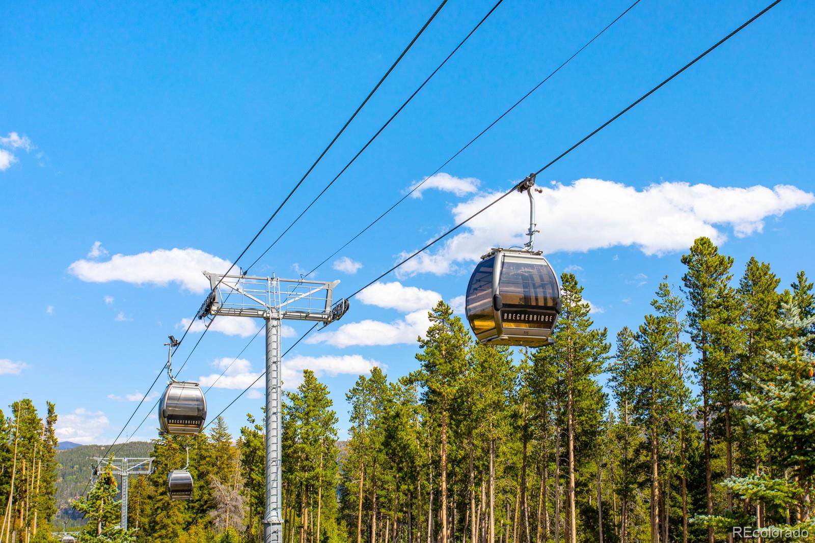 MLS Image #47 for 189  ginger quill lane,breckenridge, Colorado