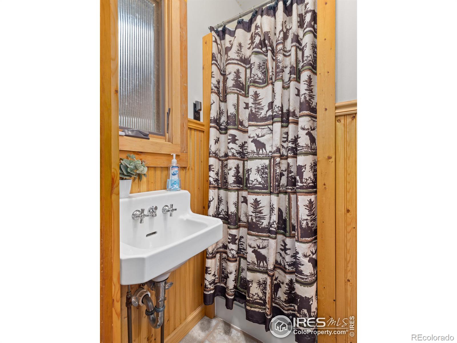 MLS Image #15 for 656  halbach lane,estes park, Colorado