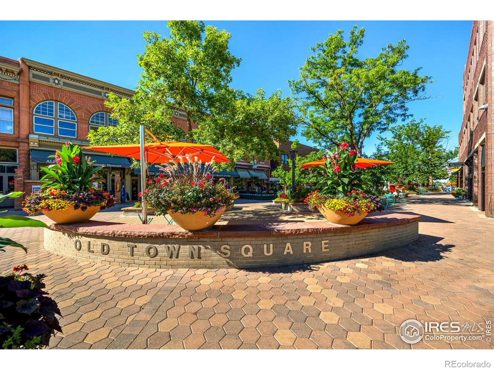 MLS Image #39 for 3003  old dominion court,fort collins, Colorado