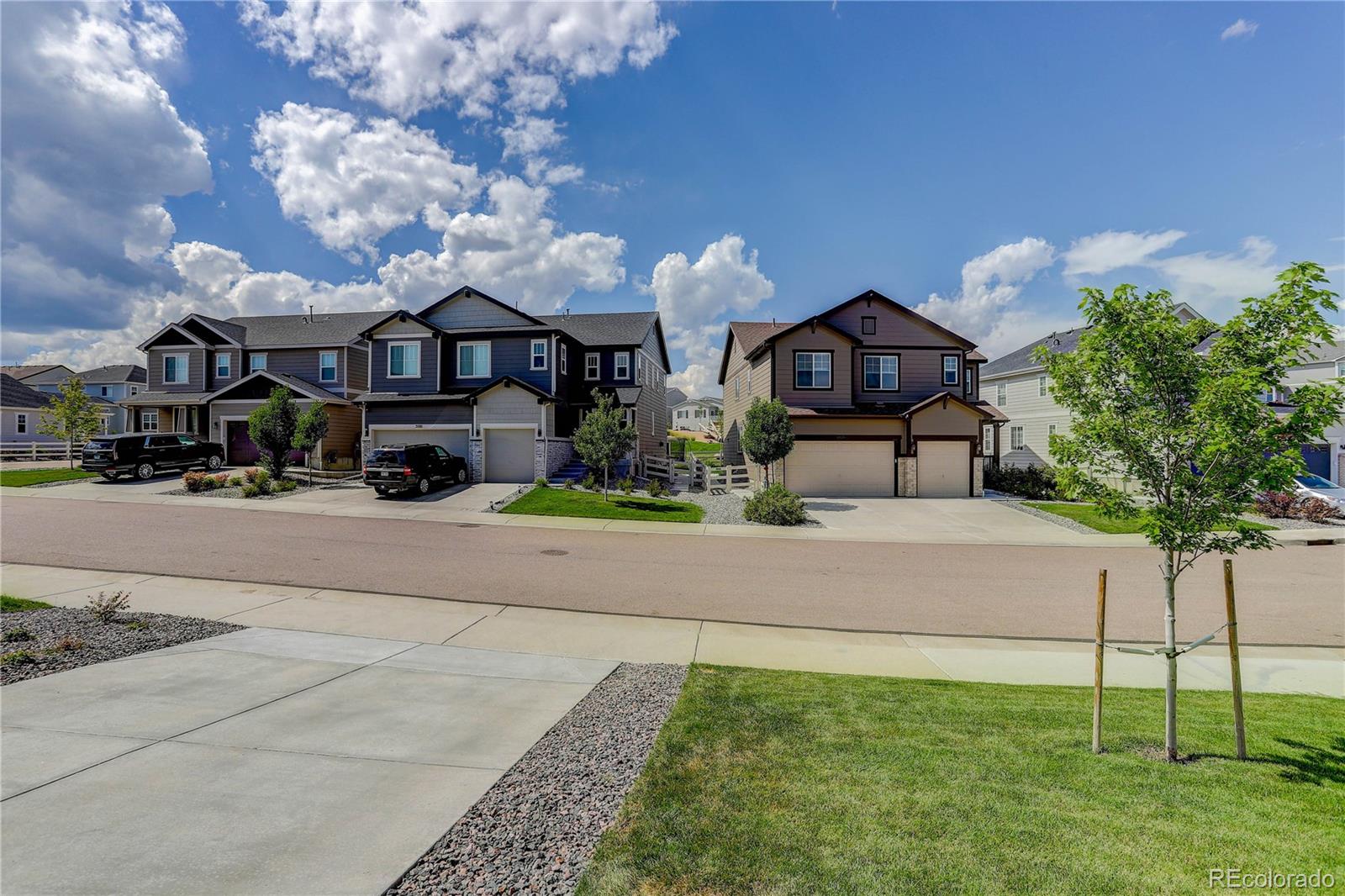 MLS Image #7 for 5072  ditmars lane,castle rock, Colorado