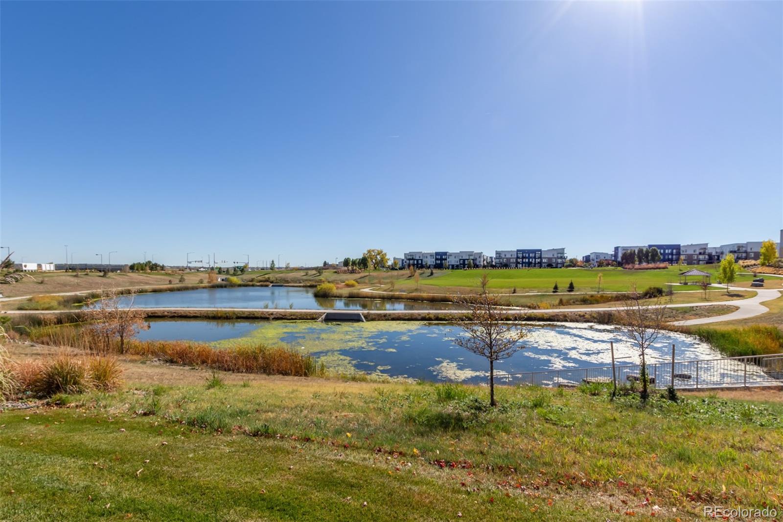 MLS Image #36 for 8482  parkland street,broomfield, Colorado