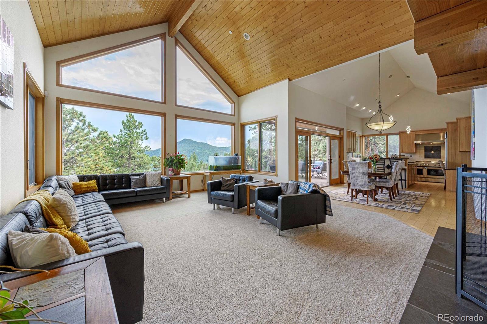 MLS Image #21 for 8822  wild heart trail,conifer, Colorado