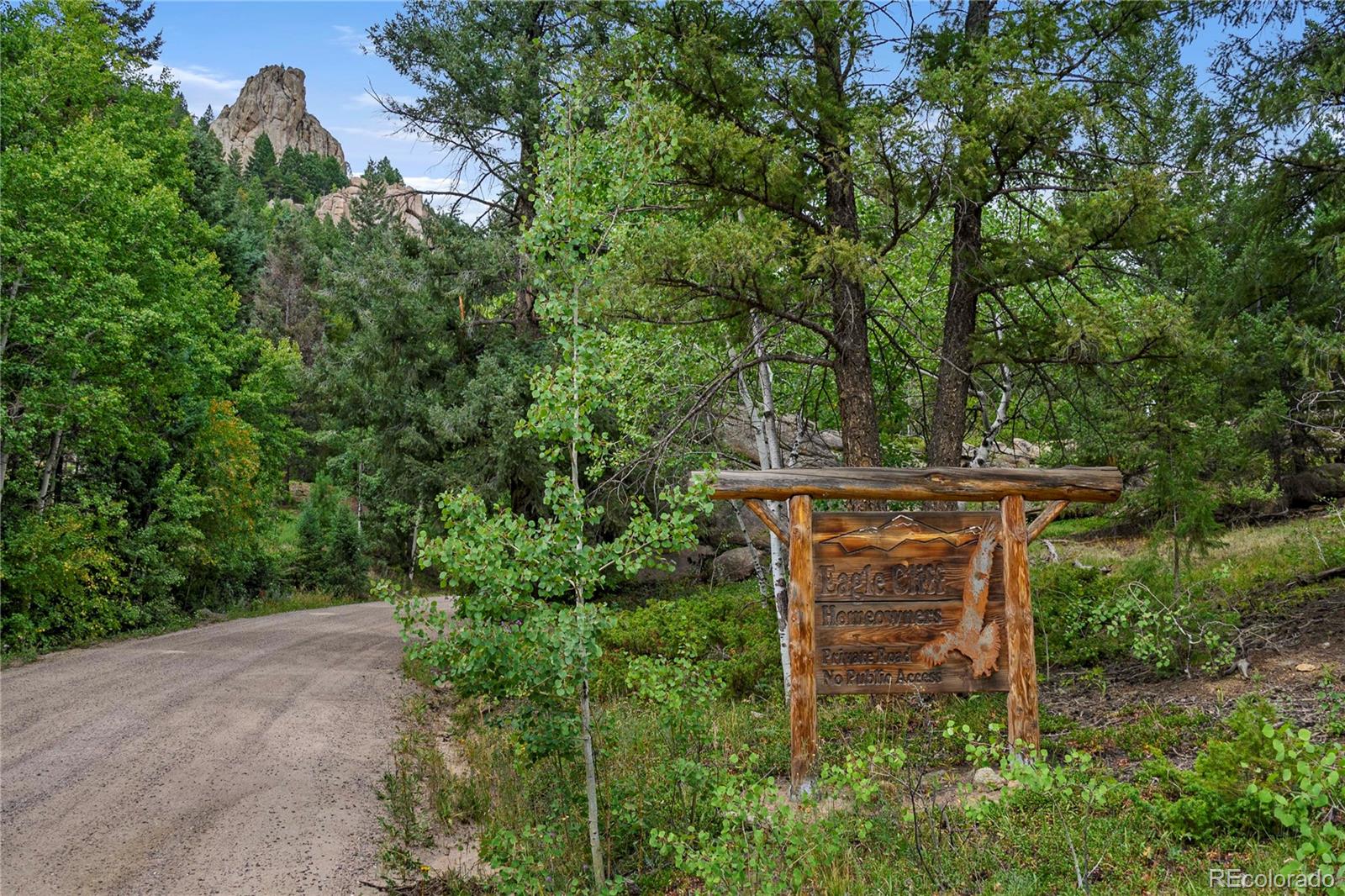 MLS Image #45 for 8822  wild heart trail,conifer, Colorado