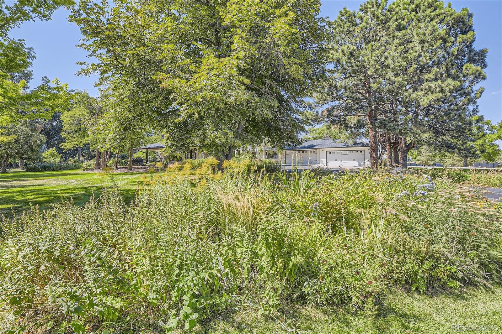 MLS Image #43 for 4901  lakeshore drive,littleton, Colorado