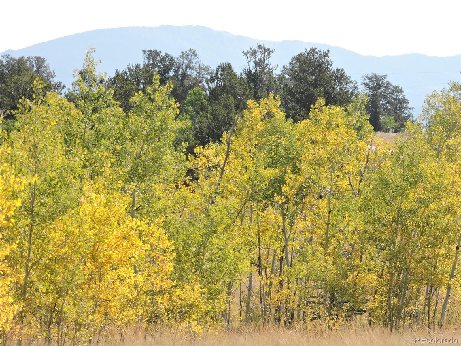 MLS Image #27 for 16  buckshot trail,como, Colorado