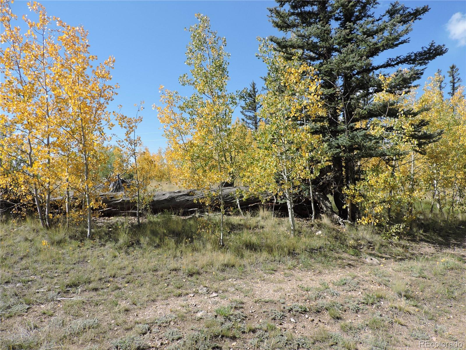 MLS Image #39 for 16  buckshot trail,como, Colorado