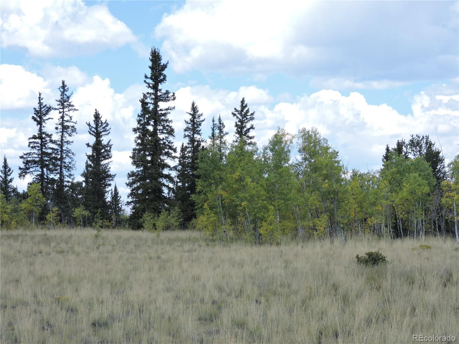 MLS Image #42 for 16  buckshot trail,como, Colorado