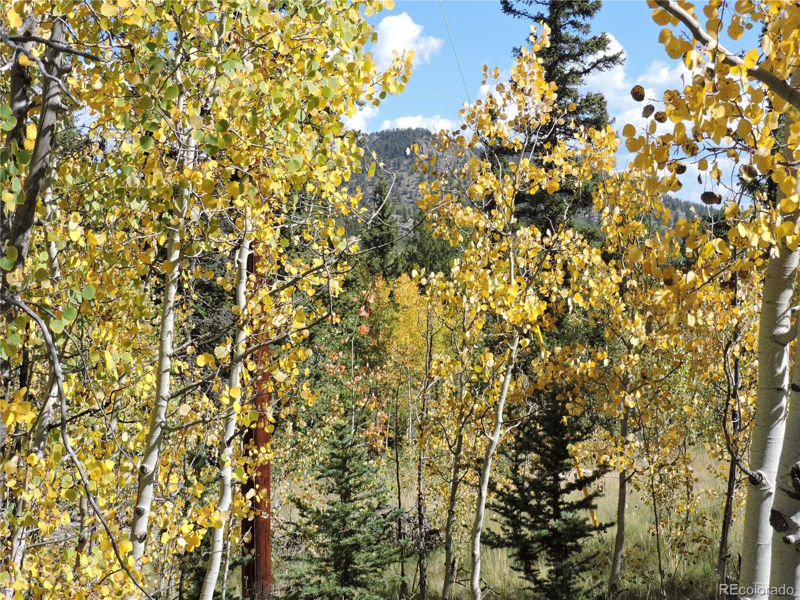 MLS Image #6 for 16  buckshot trail,como, Colorado