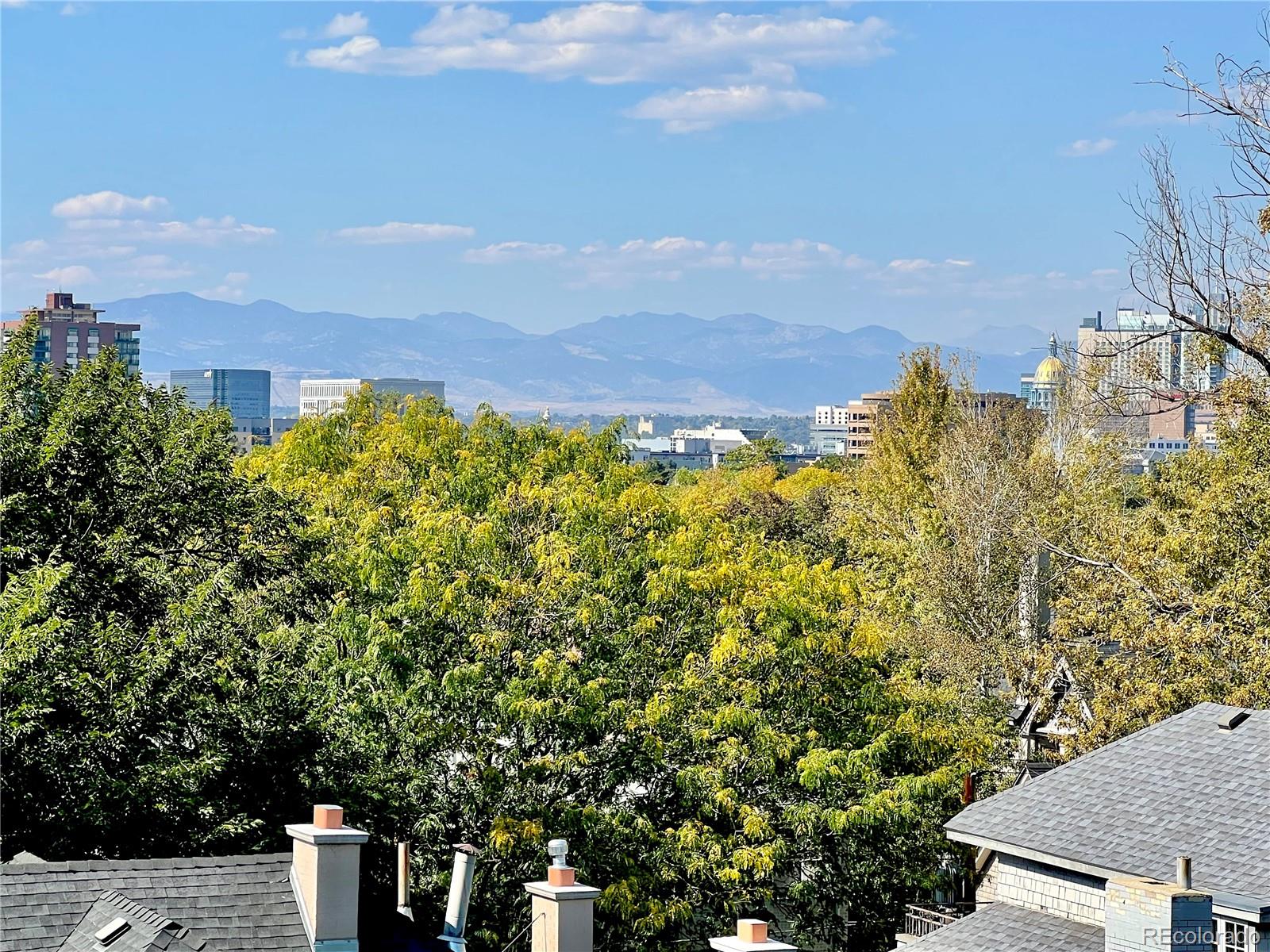 MLS Image #20 for 1050 n lafayette street,denver, Colorado